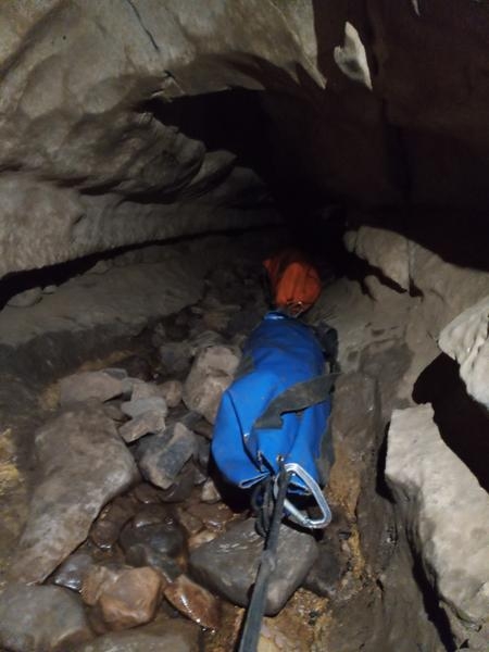 Thumbnail of photo from this article